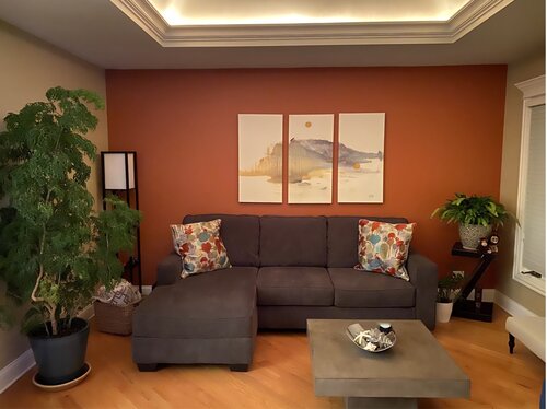 400 Orange Living Room Design Ideas Wayfair